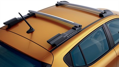 image of the top of dacia sandero stepway